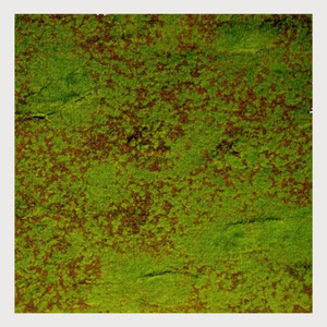 Artificial Forest Moss Wall Panels - Rich & Green ReadyLeaf