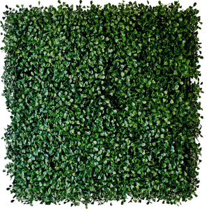 Artificial Miniature Ficus ReadyLeaf