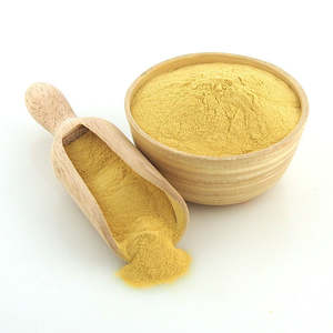 Vegan: Nutritional Yeast Powder (B12), Inactive