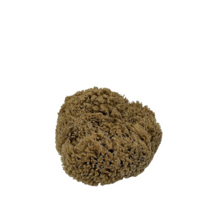 Body Hair: Sea Sponge - Natural Mediterranean