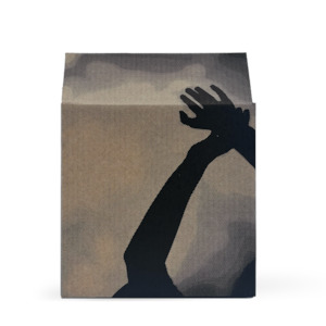 Starter Mystery Box - limited time