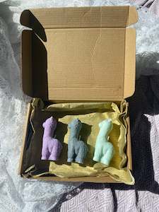 Llama candle gift box 💚