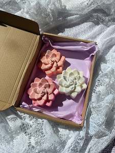 Succulent candle gift box 🧡