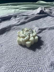 White succulent candle