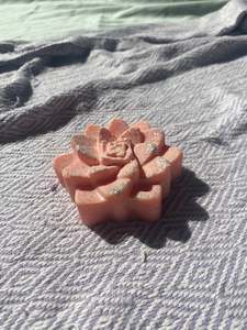Orange succulent candle