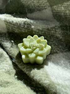 Succulent Candles: Green succulent candle