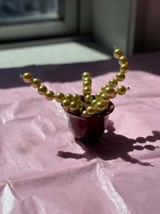 Beaded Pot Plants: Upcycled Beaded Pot Plant