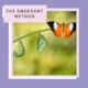 The Emergent Method