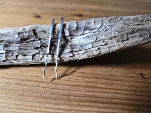 Earrings: Seaweed Earrings - Sterling Silver