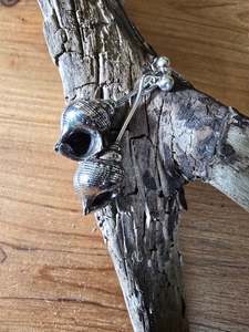 Shell Drop Earrings - Sterling Silver