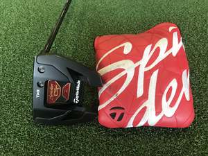 Putters: TaylorMade Spider GT TM1 33" Putter With Headcover