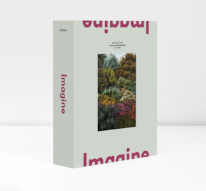 Imagine | Rachael Maine | Puzzle