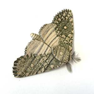 Brown Clay moth III