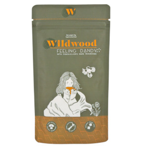 Wildwood Mushroom Cacao | Feeling Dandy