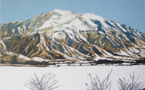 Mt. Hutt