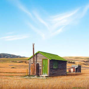 Michelle Bellamy: Little Green Roof Hut, Falls Dam, New Zealand 2020