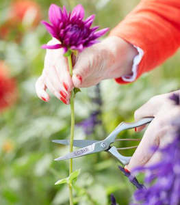 Garden: Precision Secateurs