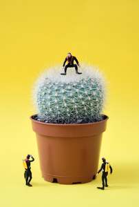 Prickdicament
