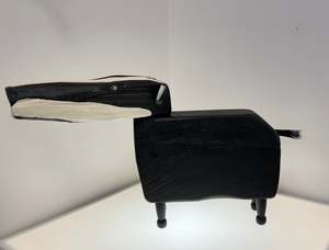 Black White Exhibition: The Badgered