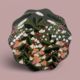 Wildflowers lll