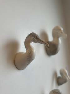 From Earth: Shag