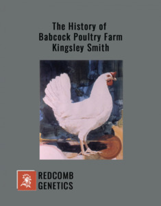 Products: The History of Babcock Poultry Farm - Redcomb Genetics