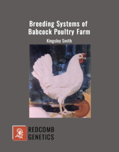 Products: Breeding Systems of Babcock Poultry Farm - Redcomb Genetics