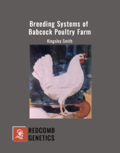 Products: Breeding Systems of Babcock Poultry Farm - Redcomb Genetics