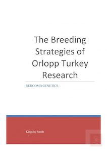 The Breeding Strategies of Orlopp Turkey Research - Redcomb Genetics