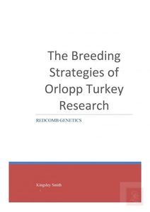 Products: The Breeding Strategies of Orlopp Turkey Research - Redcomb Genetics