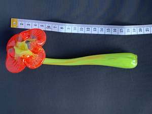 Blown Blooms: Red Daisy - Molten Petals