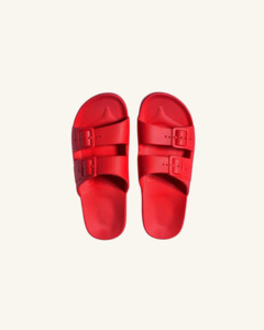 Freedom Moses: FREEDOM MOSES Basic Slides - Fuji