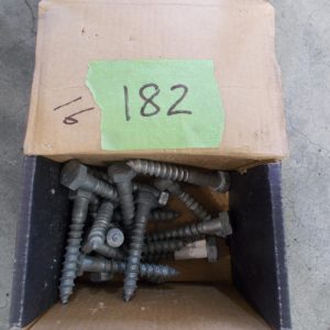 M12 x 120 Coach Screw