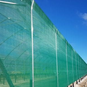 Products: Current Greenhouse film specials