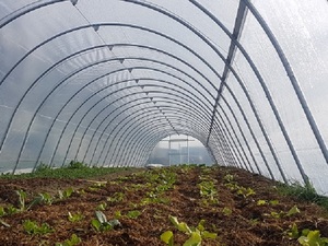 Sunsaver 202mu 3.2m width