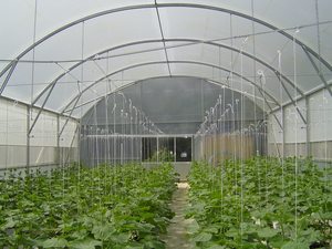 Products: Duratough 215mu 12m width