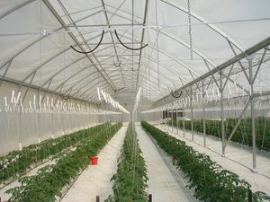 Products: Duratough 215mu 14.5m width