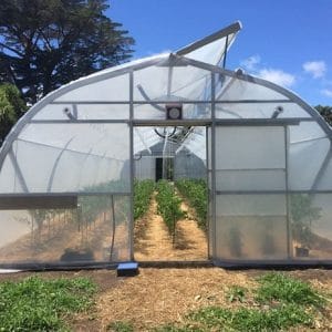 Products: Duratough 215mu 14.5m width