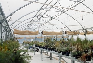Products: Clear ‘end of rolls’ Greenhouse film 200 micron