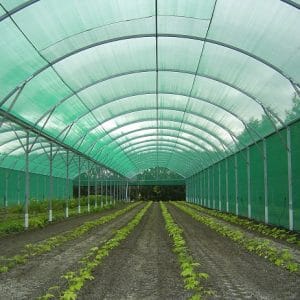 Duraflex 260 micron white shade special