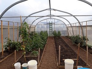 Lifestyle Propagator Series - Redpath: 6m wide lifestyler Includes 1x door (no vent)