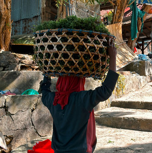 Vita - 7pm Show Red Scare Theatre Co