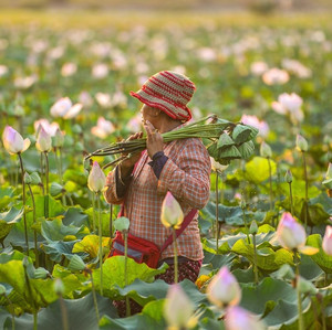 Olara - 7pm Show Red Scare Theatre Co