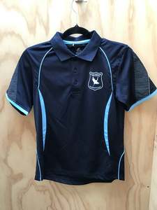 School Uniform: SWAS Polo, PE Top & Hoodie