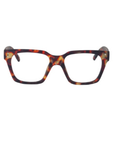 Daily Eyewear 10am Brown Tort