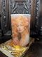 Chloe medium candle redtrinity