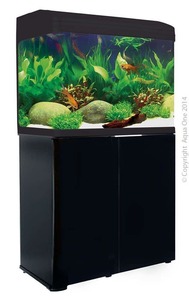 Products: Aqua One AR850 Black Gloss Aquarium Set