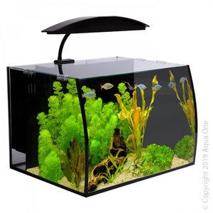 Products: Aqua One Arc 30 Aquarium