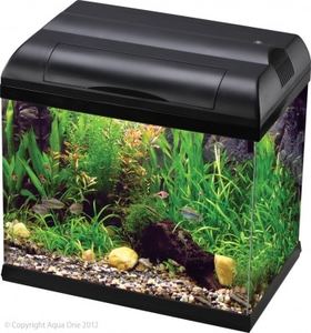 Products: Aqua One EcoStyle 37 Aquarium
