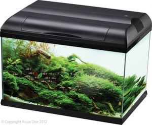 Aqua One EcoStyle 61 Aquarium